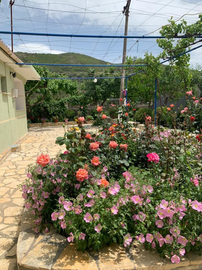 Vjosa Guest House Memaliaj Exterior photo